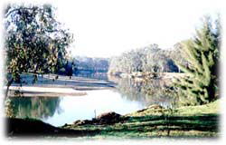 Corowa Golf Club Motel - Tourism Search 0