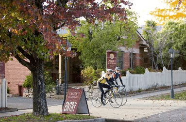 Beechworth Carriage Motor Inn - Tourism Search