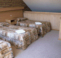 Flinders Cove Motel - Tourism Search