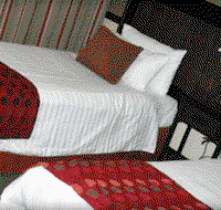 Quality Hotel Burke  Wills - Tourism Search