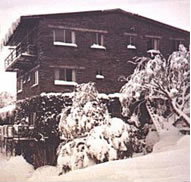 Elk at Falls - Tourism Search