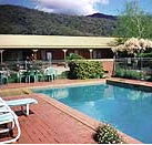 Snowgum Motel - Tourism Search