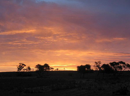 Willangi Bush Escapes - Tourism Search 1