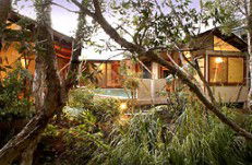 Absolute Karuna - Tourism Search 5