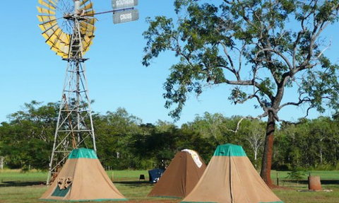 Litchfield Tourist Park - Tourism Search 2