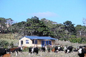 Marrawah TAS Tourism Search