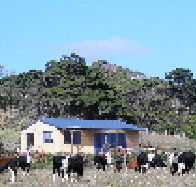 Marrawah Beach House - Tourism Search