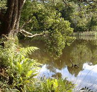 Weldborough Camping Ground - Tourism Search