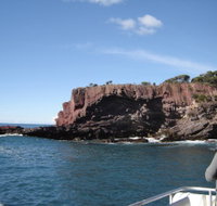 Art on Hart - Tourism Search