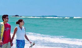 Aqualuna Beach Resort - Tourism Search 3