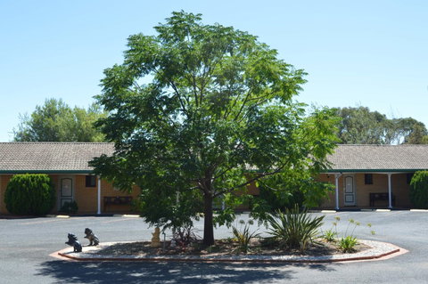 Hilltops Retreat Motor Inn - Tourism Search 6