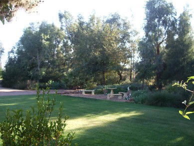 Wilga Park Cottage - Tourism Search 4