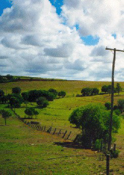 Mango Hill Cottages Bed And Breakfast - Tourism Search 2