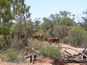 Aldville Station - Tourism Search 2