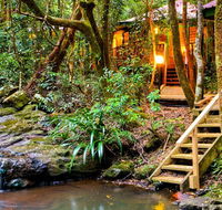 The Mouses House - Rainforest Retreat - Tourism Search