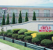 Crest Motor Inn - Tourism Search