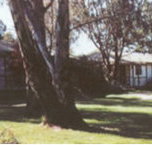 Winbi River Resort - Tourism Search