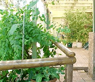 Denham Villas - Tourism Search 1