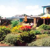 Best Western Applegum Inn Motel - Toowoomba - Tourism Search