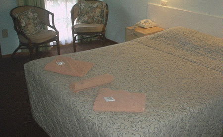 Bandicoot Motor Inn - Tourism Search 4