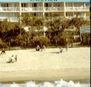 Capeview Apartments By The Sea - Tourism Search
