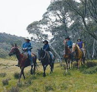 Pender Lea - Tourism Search