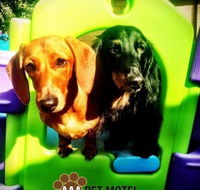 AAA Pet Motel - Tourism Search