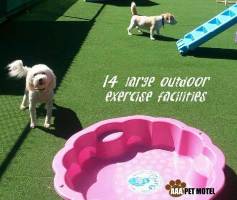 AAA Pet Motel - Tourism Search 2