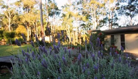 Wild Edge Retreat - Tourism Search 2