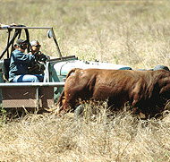 Bullo River Station - Tourism Search