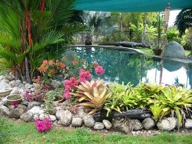 Daintree Wild Bed And Breakfast - Tourism Search 0
