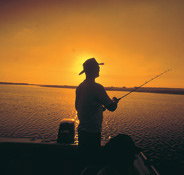 Point Stuart Wilderness Lodge - Tourism Search