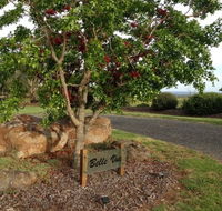 Belle Vue Studio - Tourism Search
