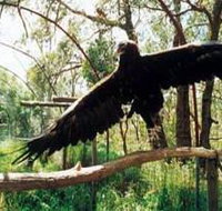 Curlew Hill Sanctuary - Tourism Search