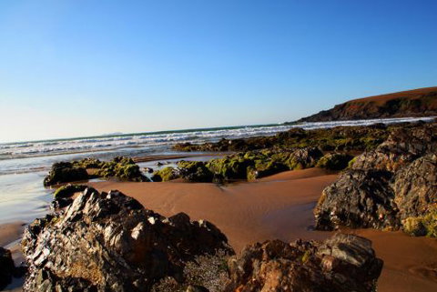 ArtHOUSE Beachfront Accommodation - Tourism Search 8