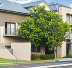 Quest Maitland Serviced Apartments - Tourism Search