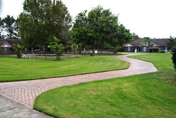 Airport Motel Sir Francis Drake - Tourism Search 20