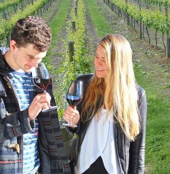 Valley Farm Vineyard Cottages - Tourism Search 0