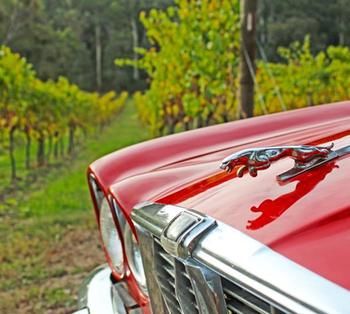 Valley Farm Vineyard Cottages - Tourism Search 1