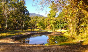 Valley Farm Vineyard Cottages - Tourism Search 3
