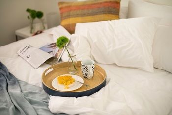 Apartment2c - Ormond - Tourism Search 12