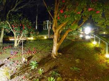 Aquila Nova Retreat - Tourism Search 43