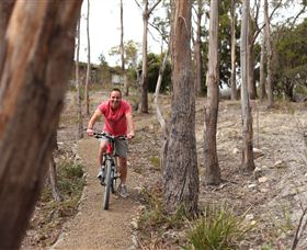 Tranquil Point Retreat - Tourism Search 1