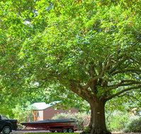 Lakes and Craters Holiday Park - Tourism Search