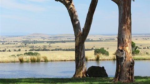 Tuki Trout Farm And Retreat - Tourism Search 3