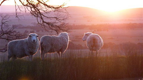 Tuki Trout Farm And Retreat - Tourism Search 4