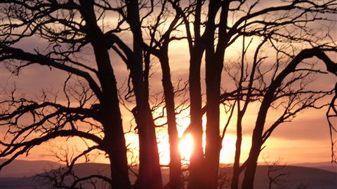 Tuki Trout Farm And Retreat - Tourism Search 5