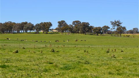 Jamel Lodge - Tourism Search 2