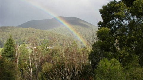 Wattletree Cottage - Tourism Search 0