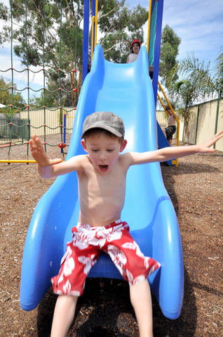 Albury All Seasons Tourist Park - Tourism Search 3